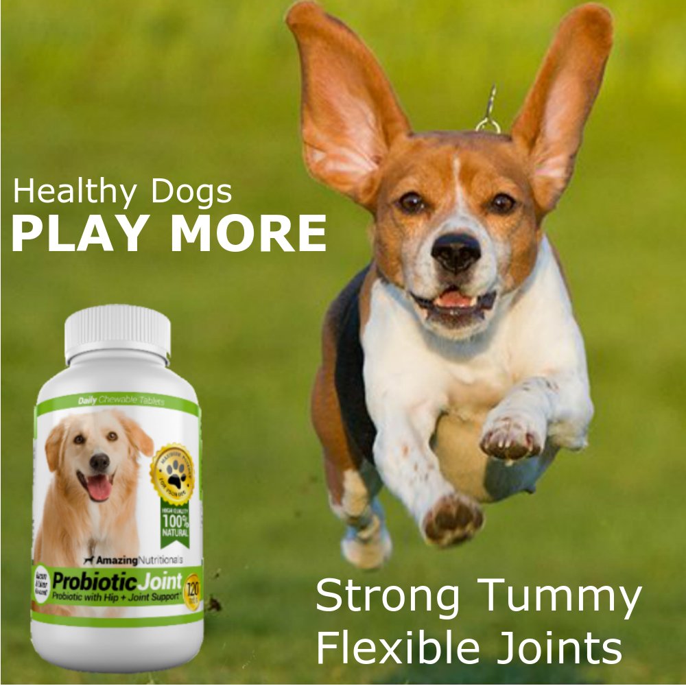 Probiotics for Dogs 120 Chews J90263