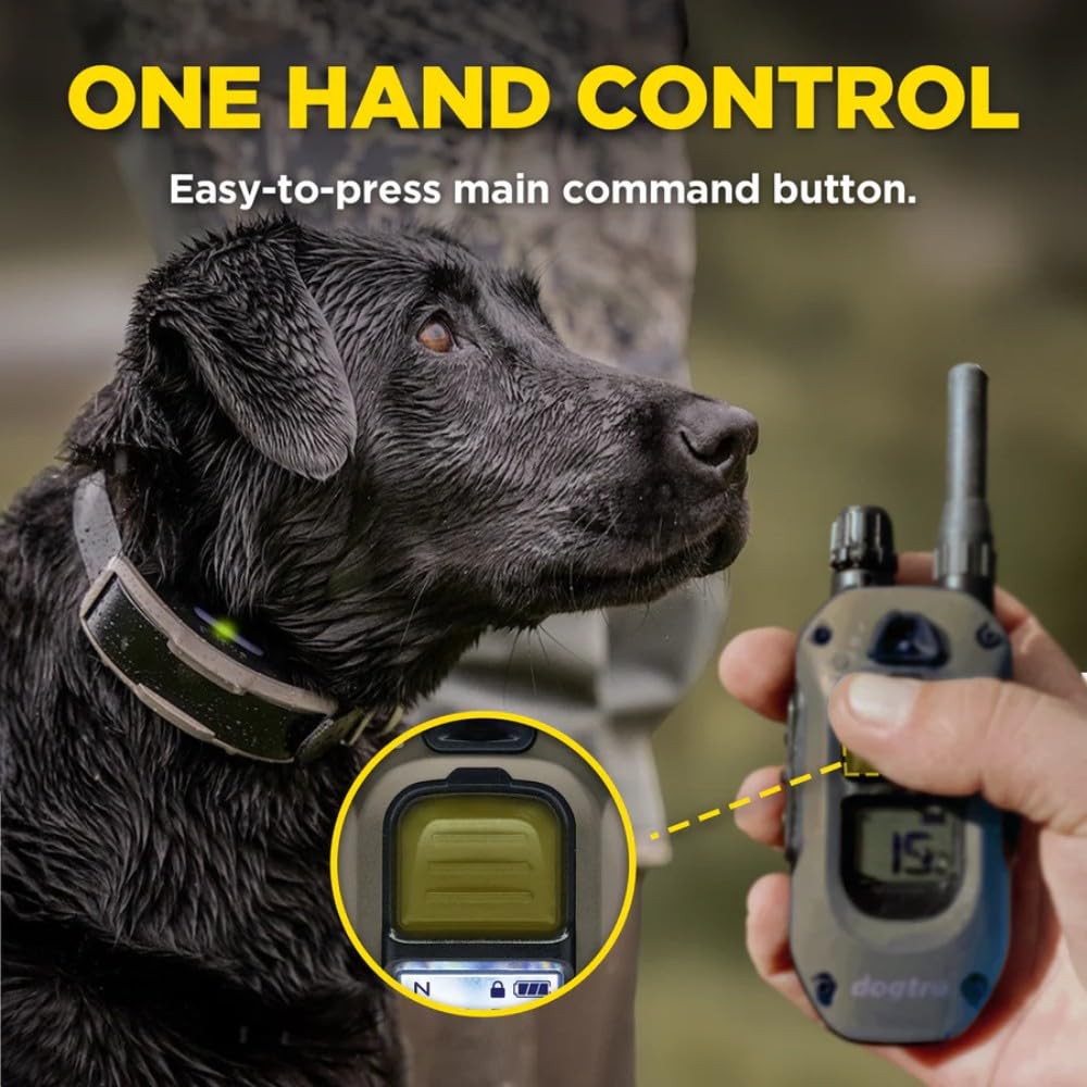Waterproof Rechargeable Dog Training E-Collar A335359