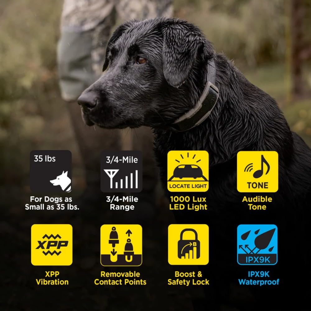 Waterproof Rechargeable Dog Training E-Collar A335359