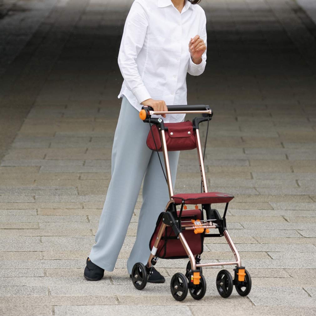 4 Wheels Foldable Rollator Walker with Seat V19799