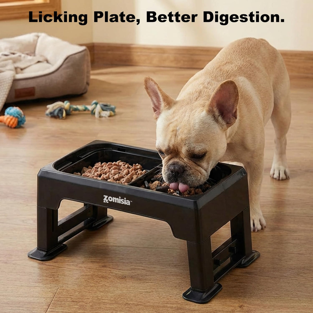 Elevated Dog Bowls with No Spill Water Bowl R4263