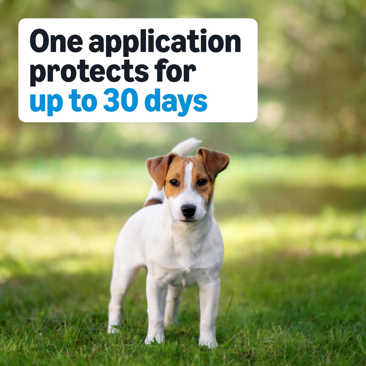 Flea, Tick & Mosquito Topical Treatment for Medium Dogs, 6 Count R104