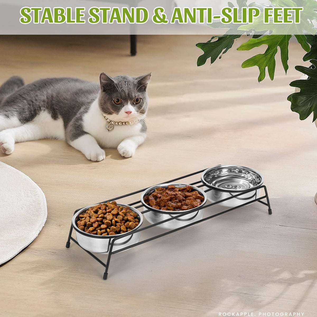 Raised 3 Stainless Steel Elevated Pet Bowls C8976