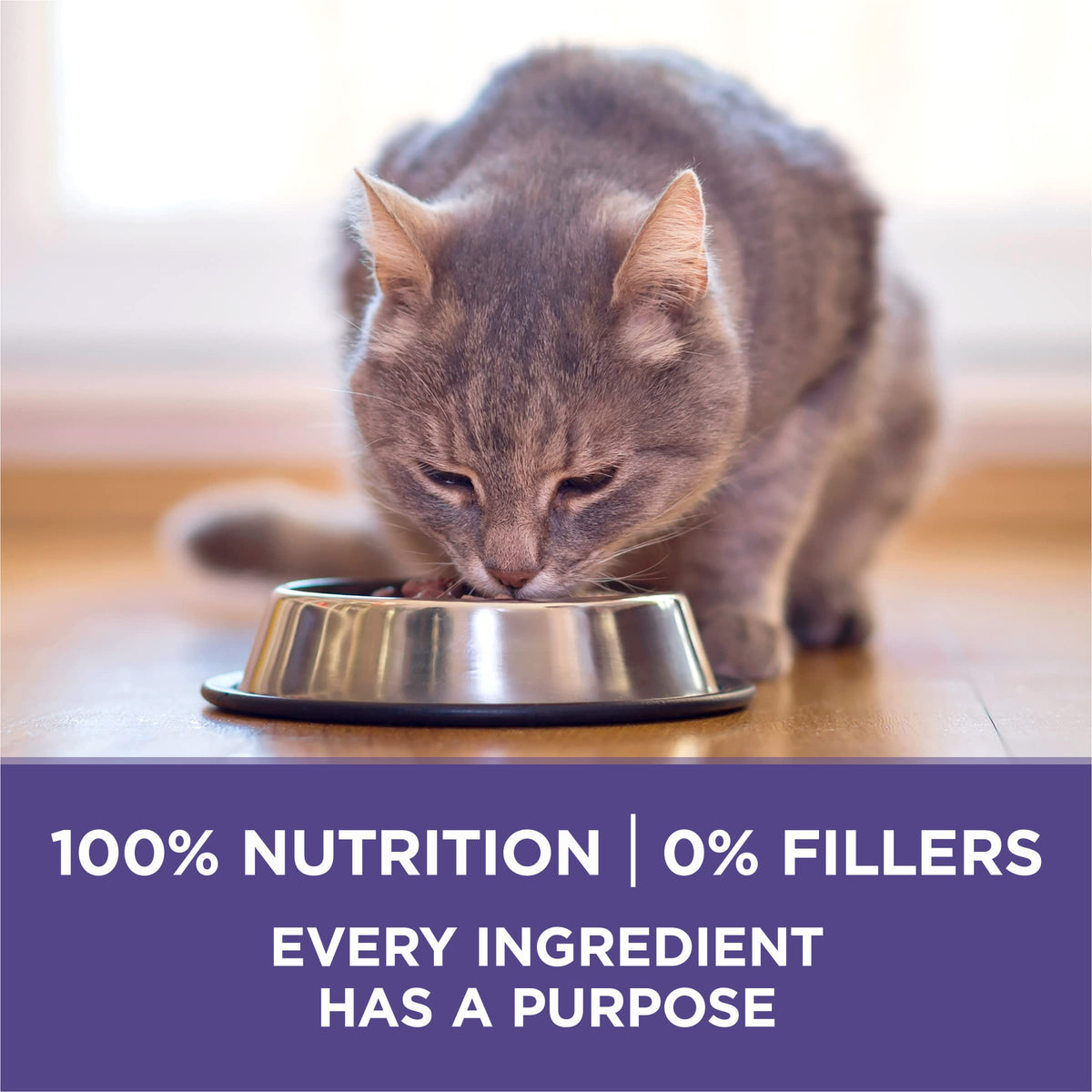 Natural Hairball Control Dry Cat Food, 16 lb Bag B949