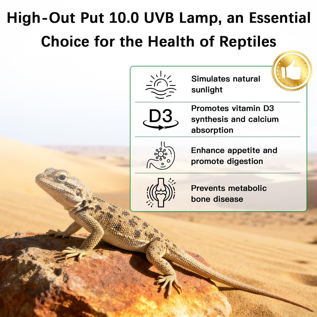 8W UVA UVB Reptile Light Fixture Combo Kit M4389