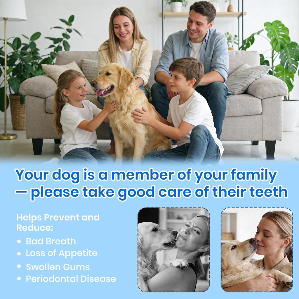 Dog Plaque Remover for Teeth with UV Sanitizing Chamber N927603