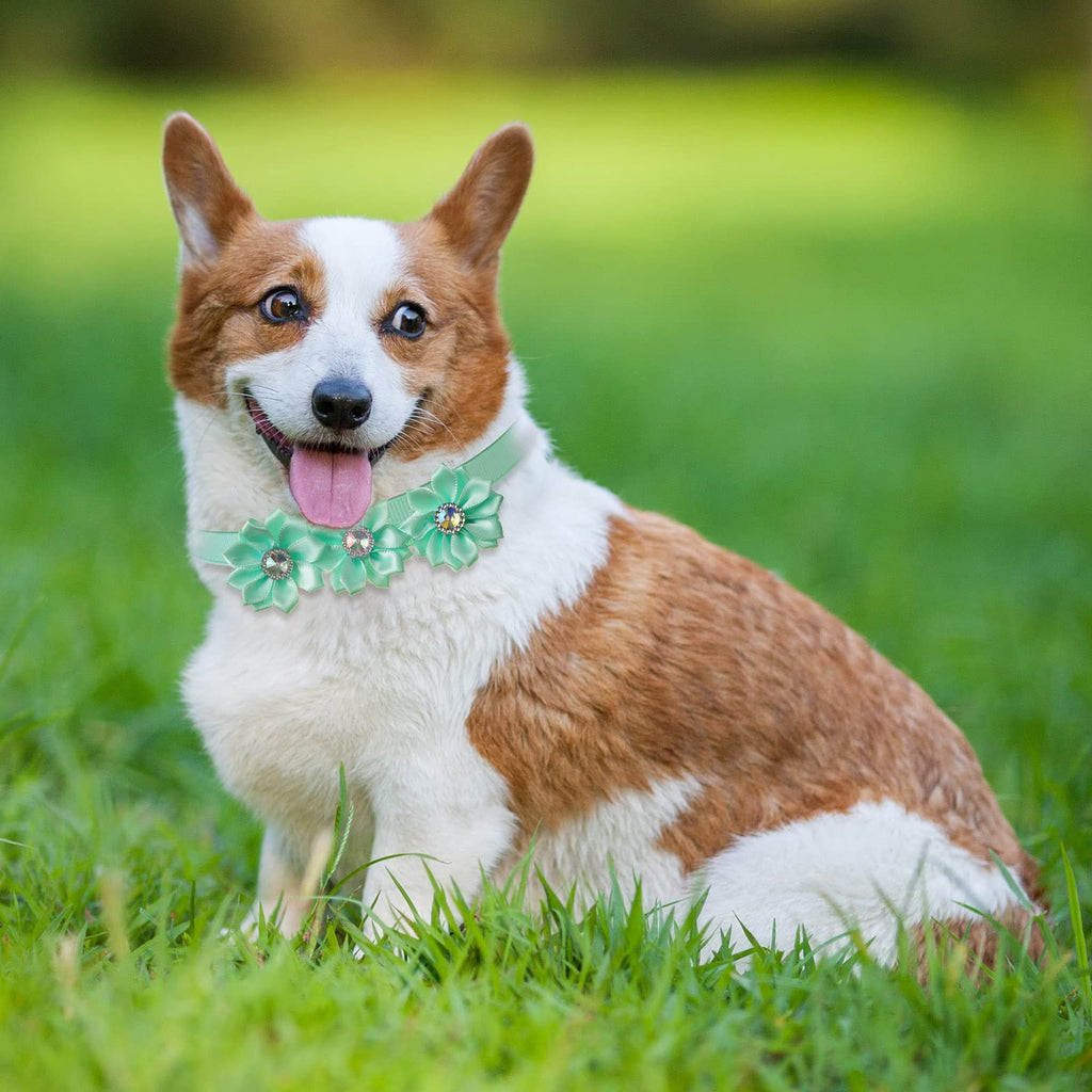 80 Pcs Dog Bowtie Flower Collar Adjustable E723