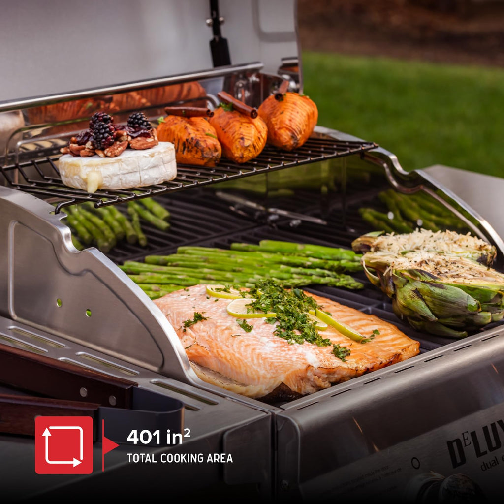 2 Burner Gas Grill with Foldable Shelves Z339