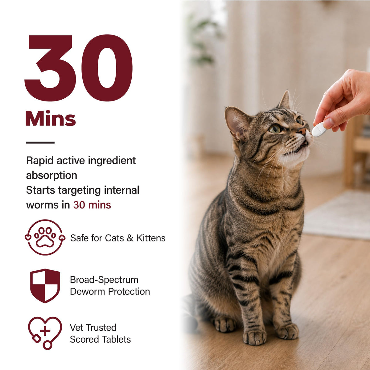Cat Dewormer, Beef Flavor, 30 Tablets B94795
