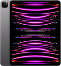 2022 iPad Pro 12.9-inch Wi-Fi 256GB Space Gray Y913929