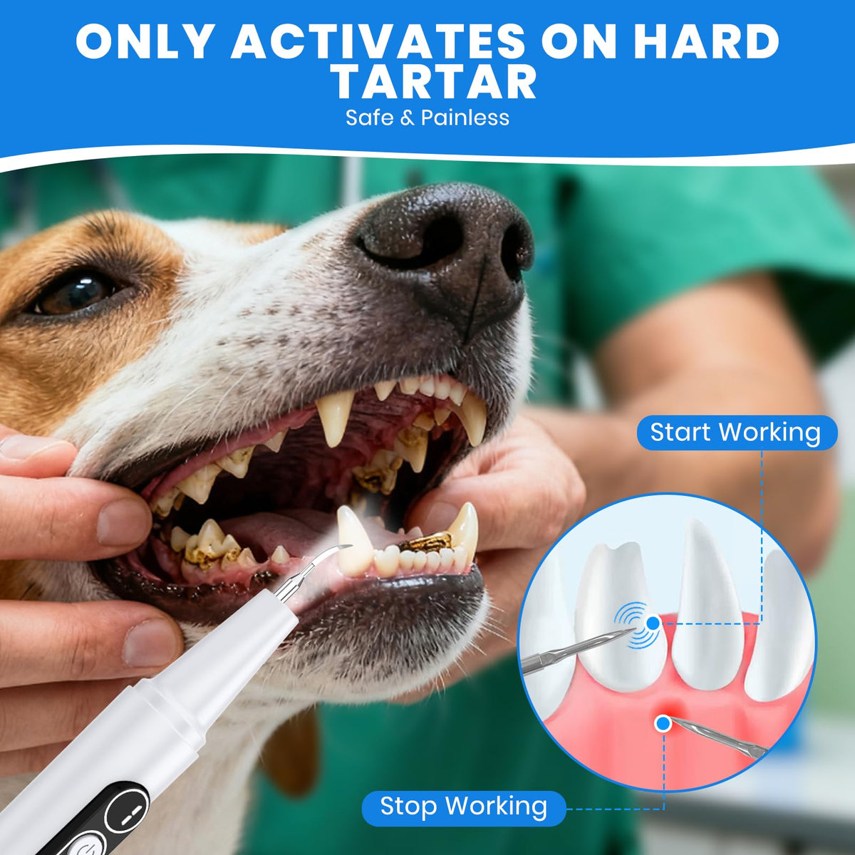 Dog Plaque Remover for Teeth with UV Sanitizing Chamber N927603
