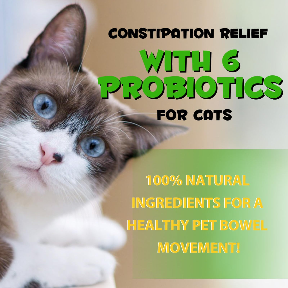 Cat Constipation Relief 2 fl.oz T162