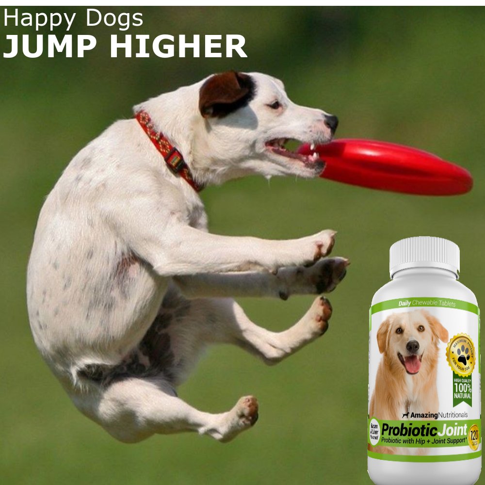 Probiotics for Dogs 120 Chews J90263