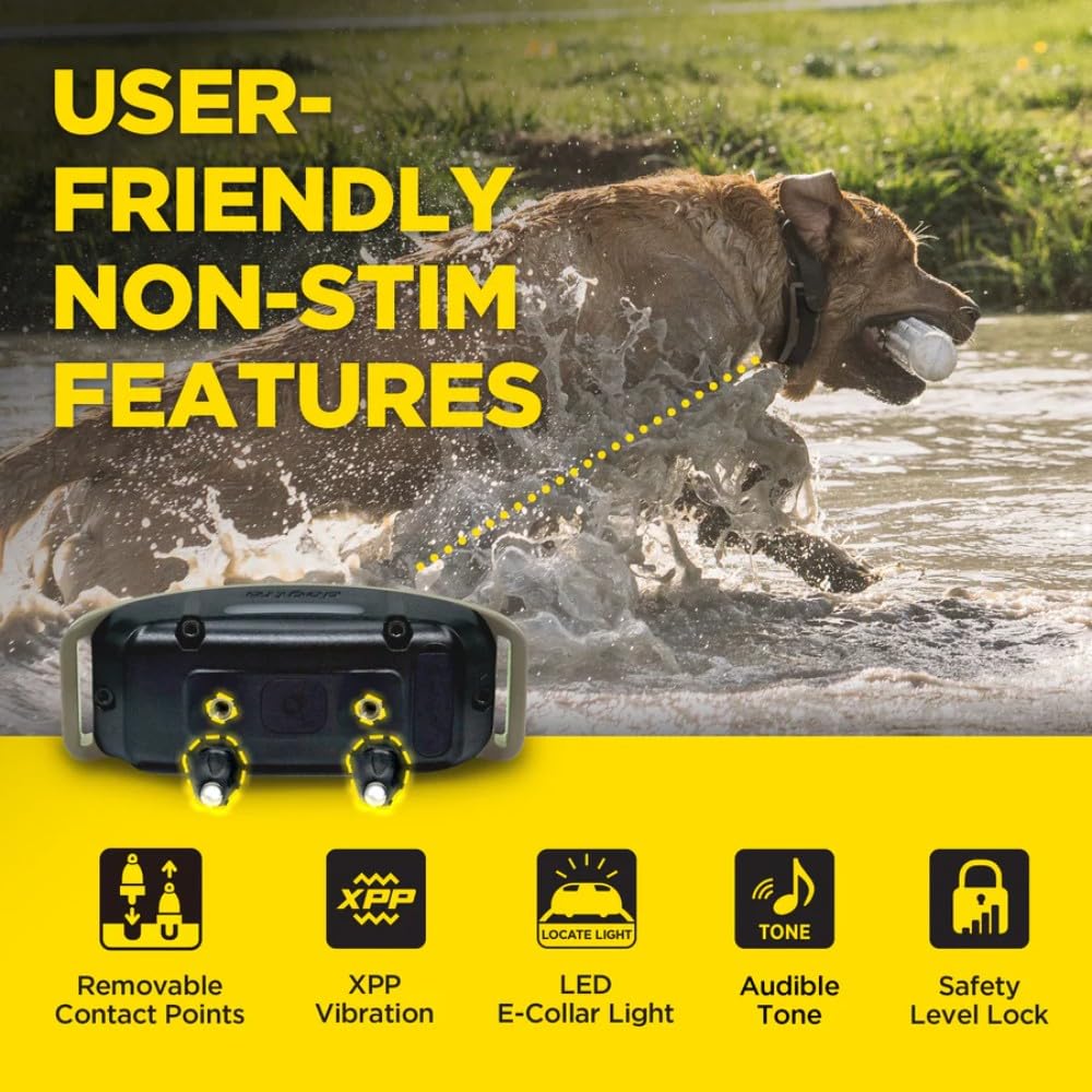 Waterproof Rechargeable Dog Training E-Collar A335359