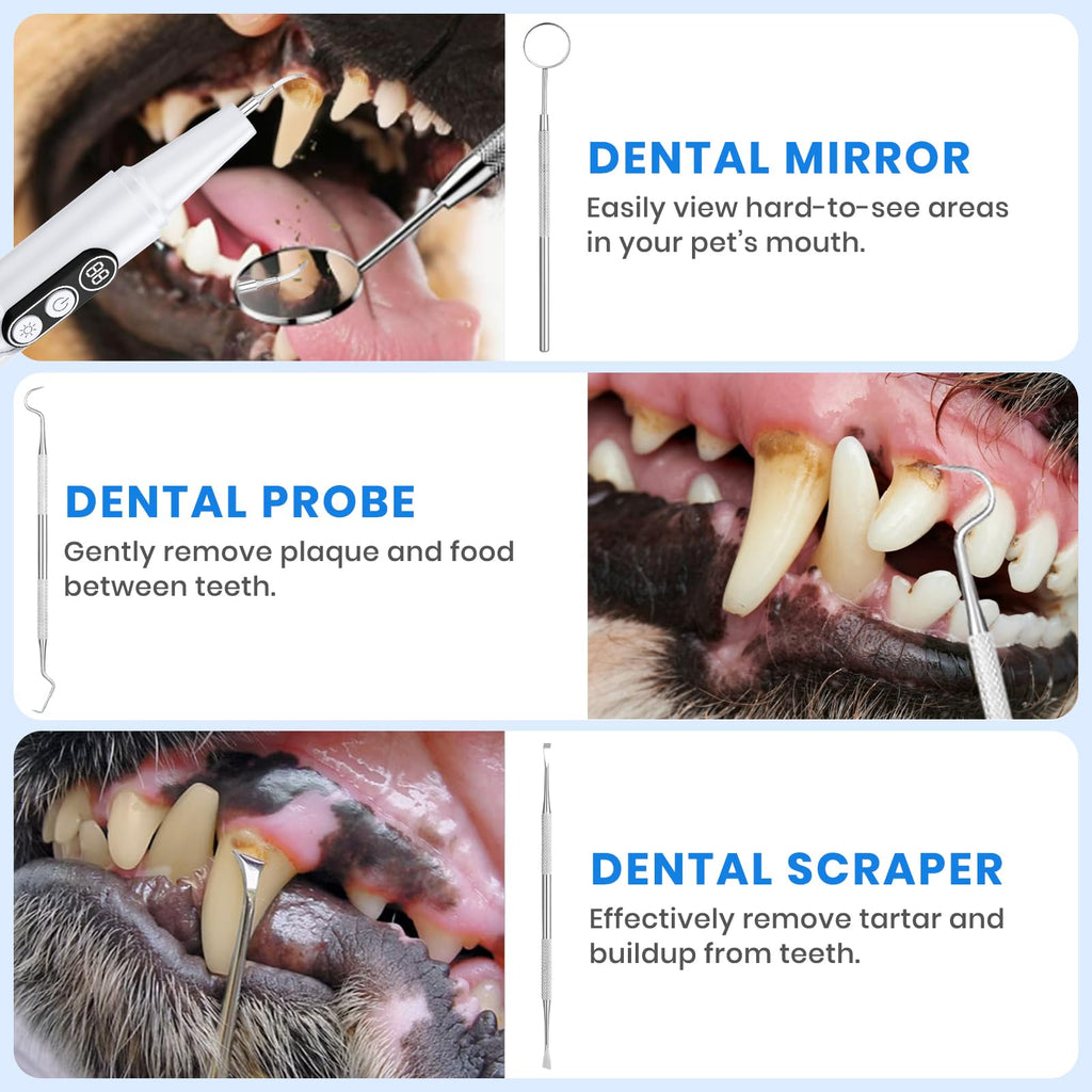 Dog Plaque Remover for Teeth with UV Sanitizing Chamber N927603