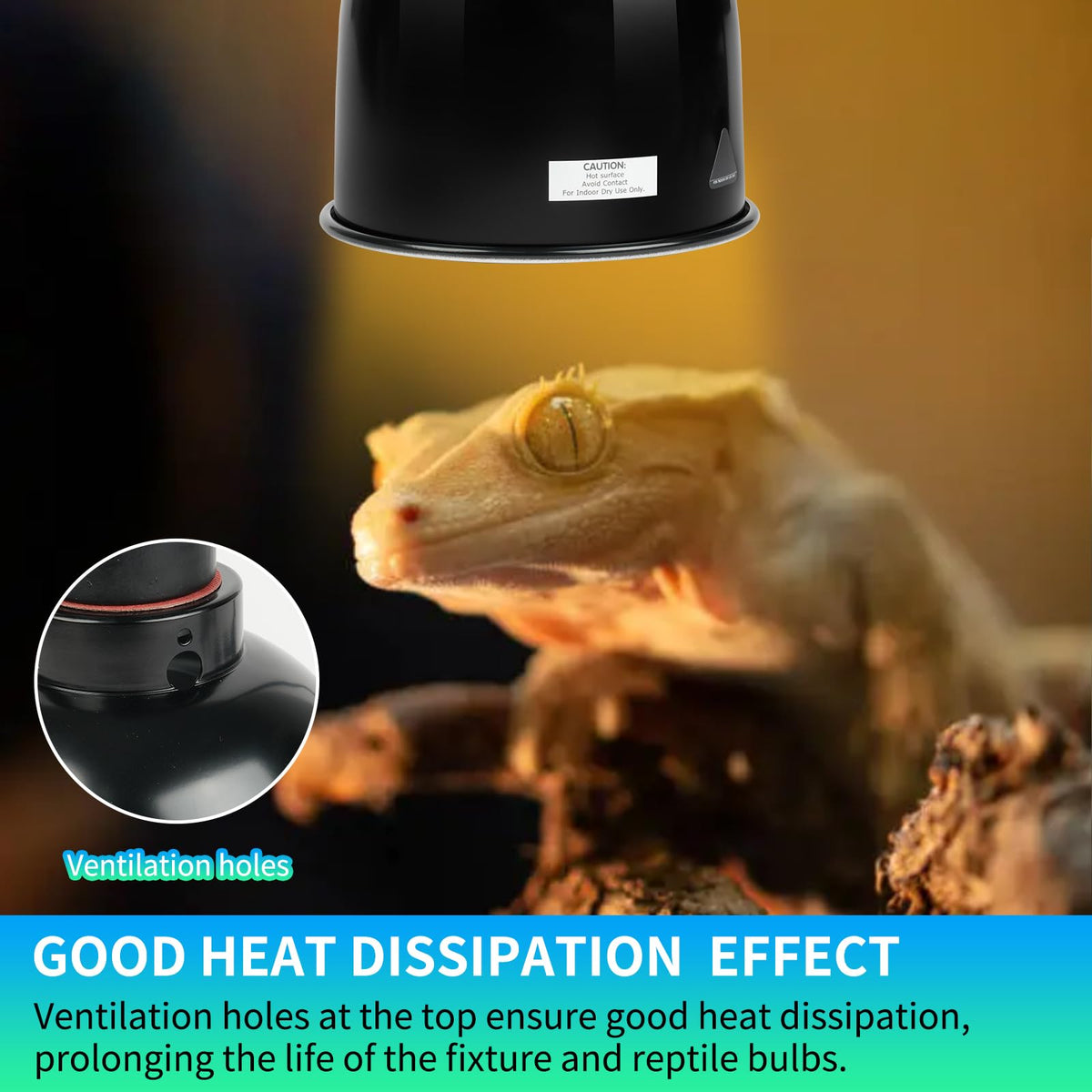 5.5 Inch Deep Dome Reptile Light Fixture with Dimming Thermostat X3775