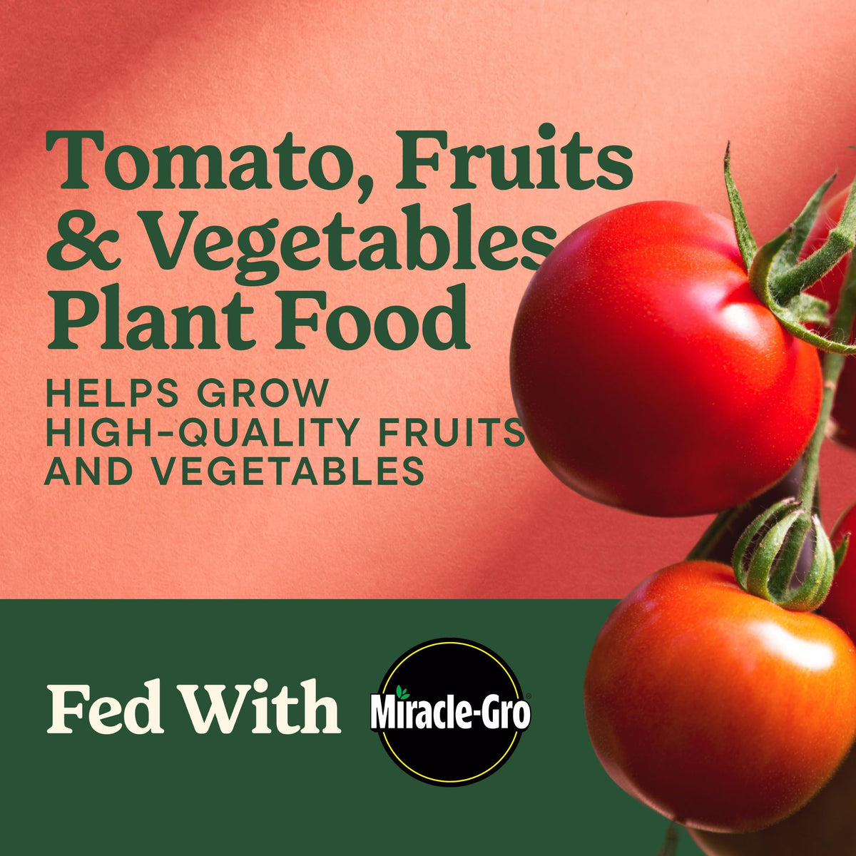 Tomato Fruits and Vegetables Plant Food 2-Pack M198