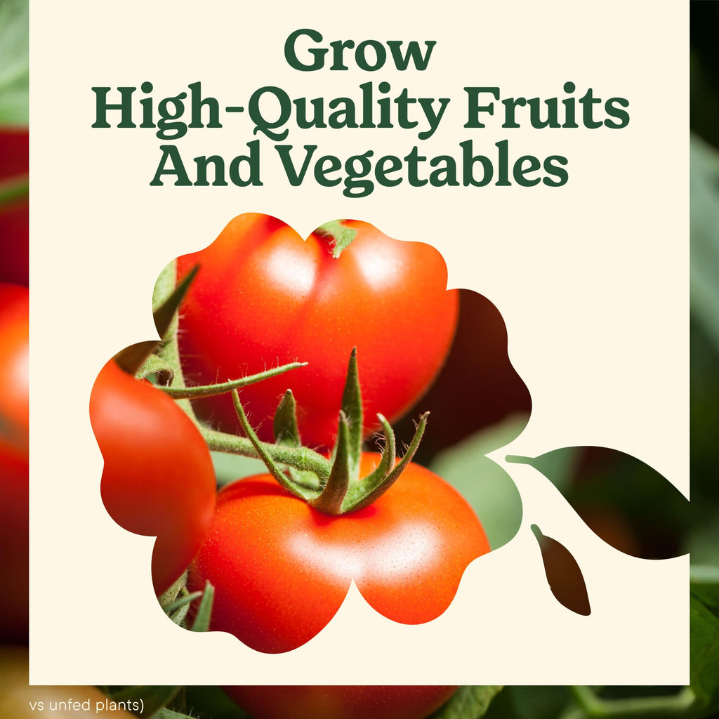 Tomato Fruits and Vegetables Plant Food 2-Pack M198