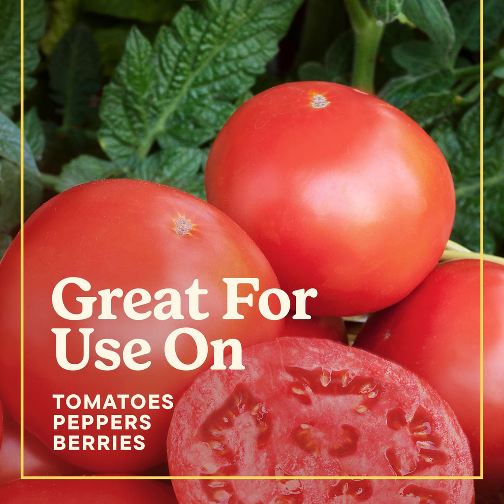 Tomato Fruits and Vegetables Plant Food 2-Pack M198