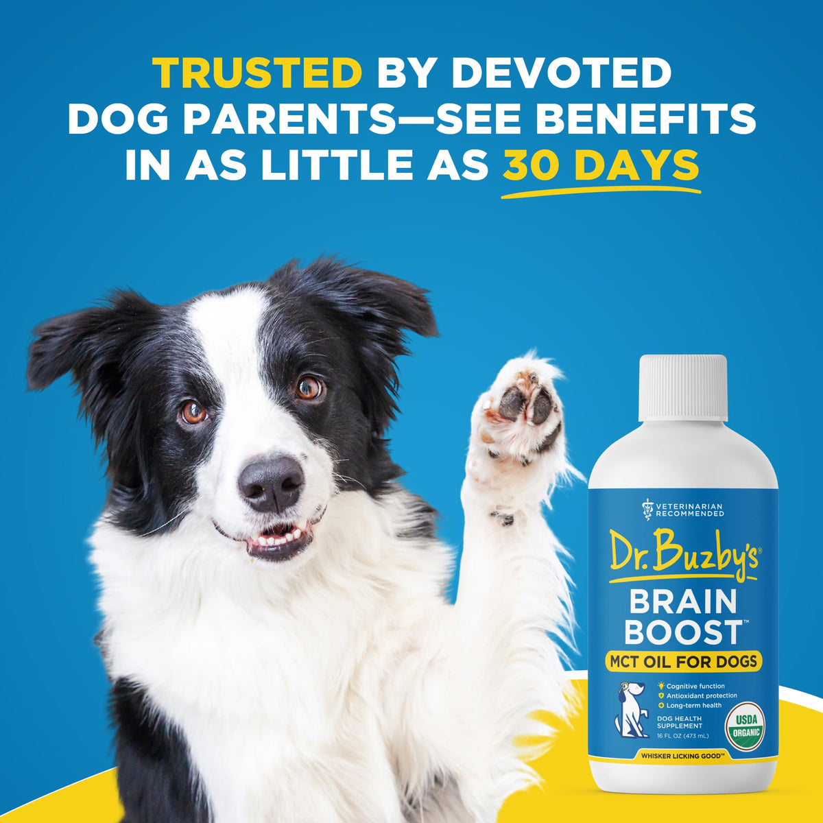 Organic MCT Oil for Dogs T26177