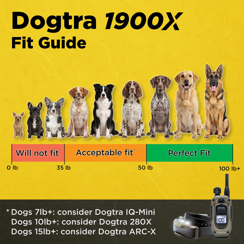 Waterproof Rechargeable Dog Training E-Collar A335359