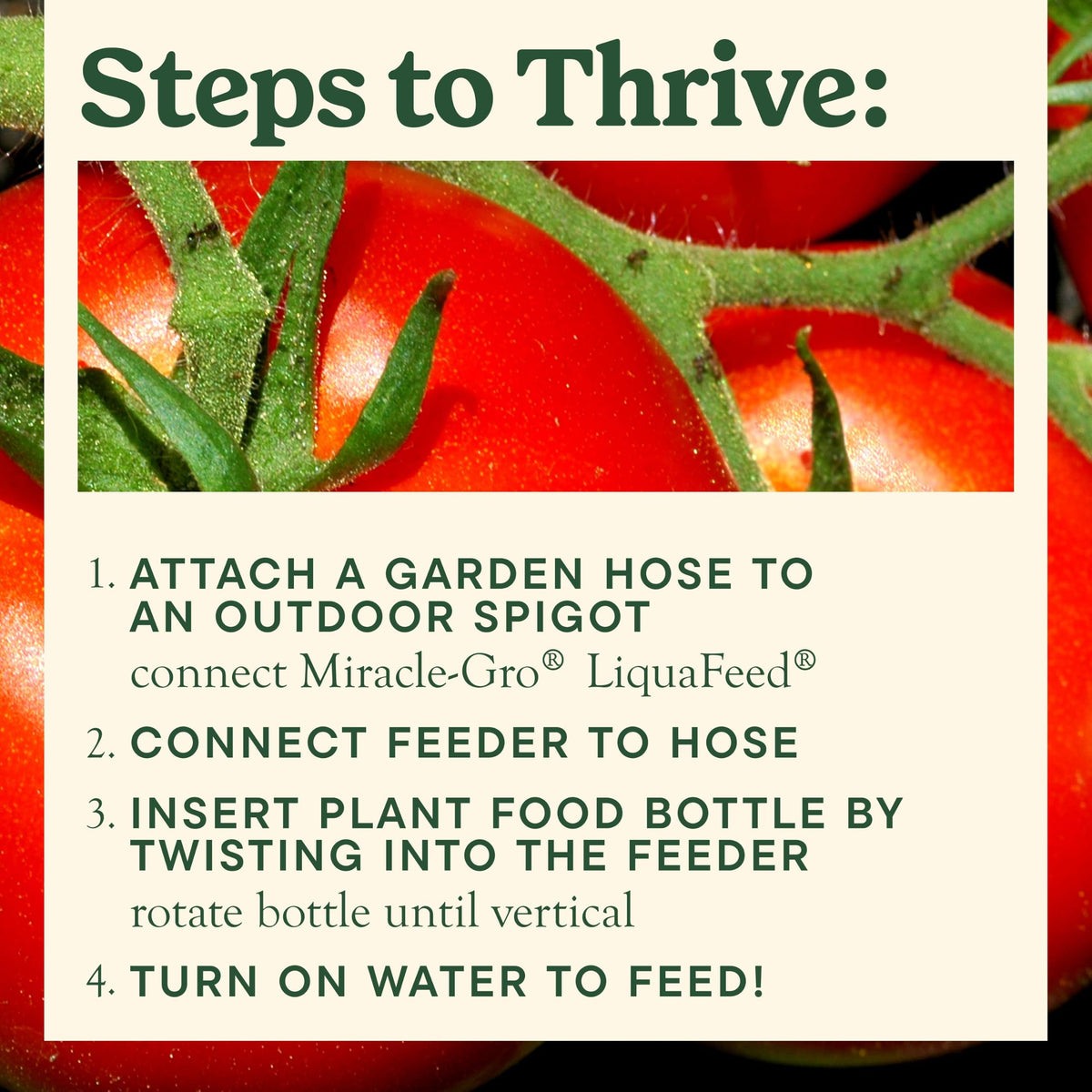 Tomato Fruits and Vegetables Plant Food 2-Pack M198