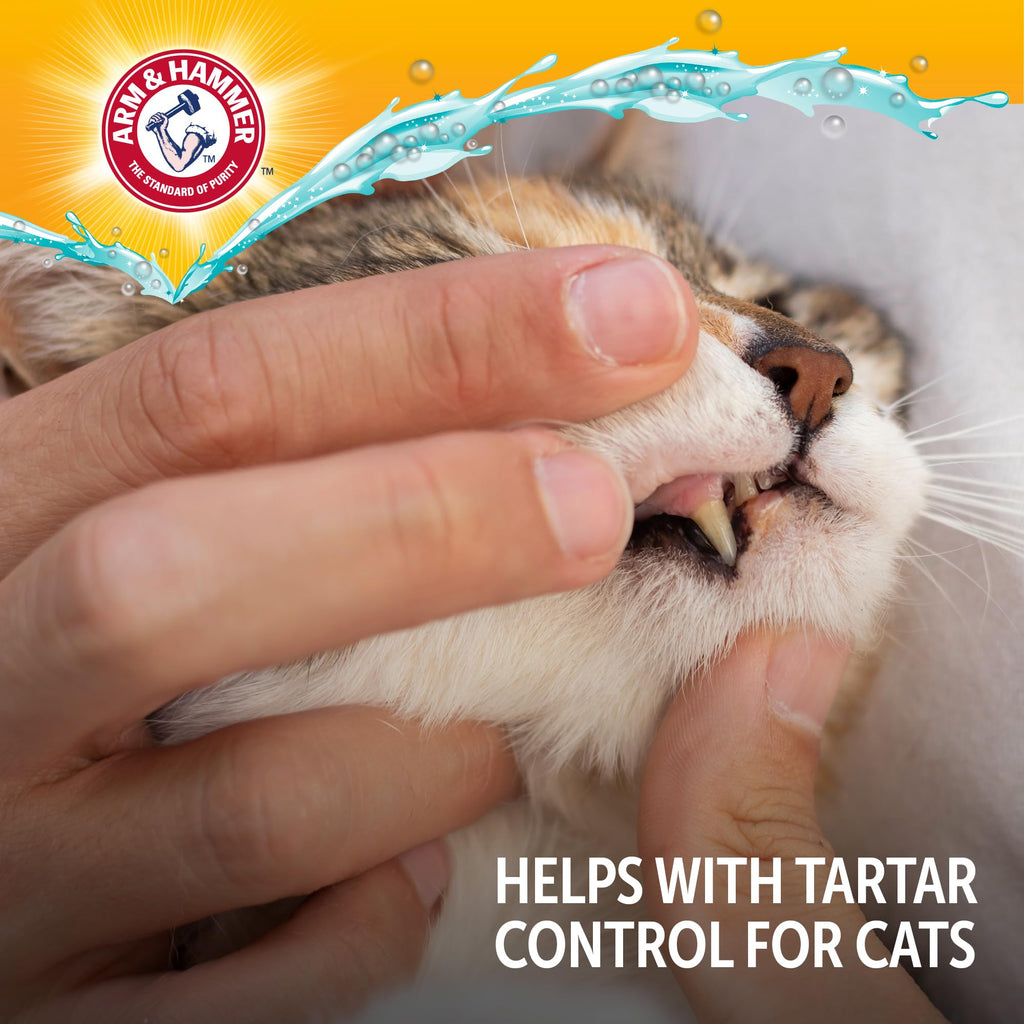 Cat Dental Water Additive 8 Fl Oz 6-Pack Z53966