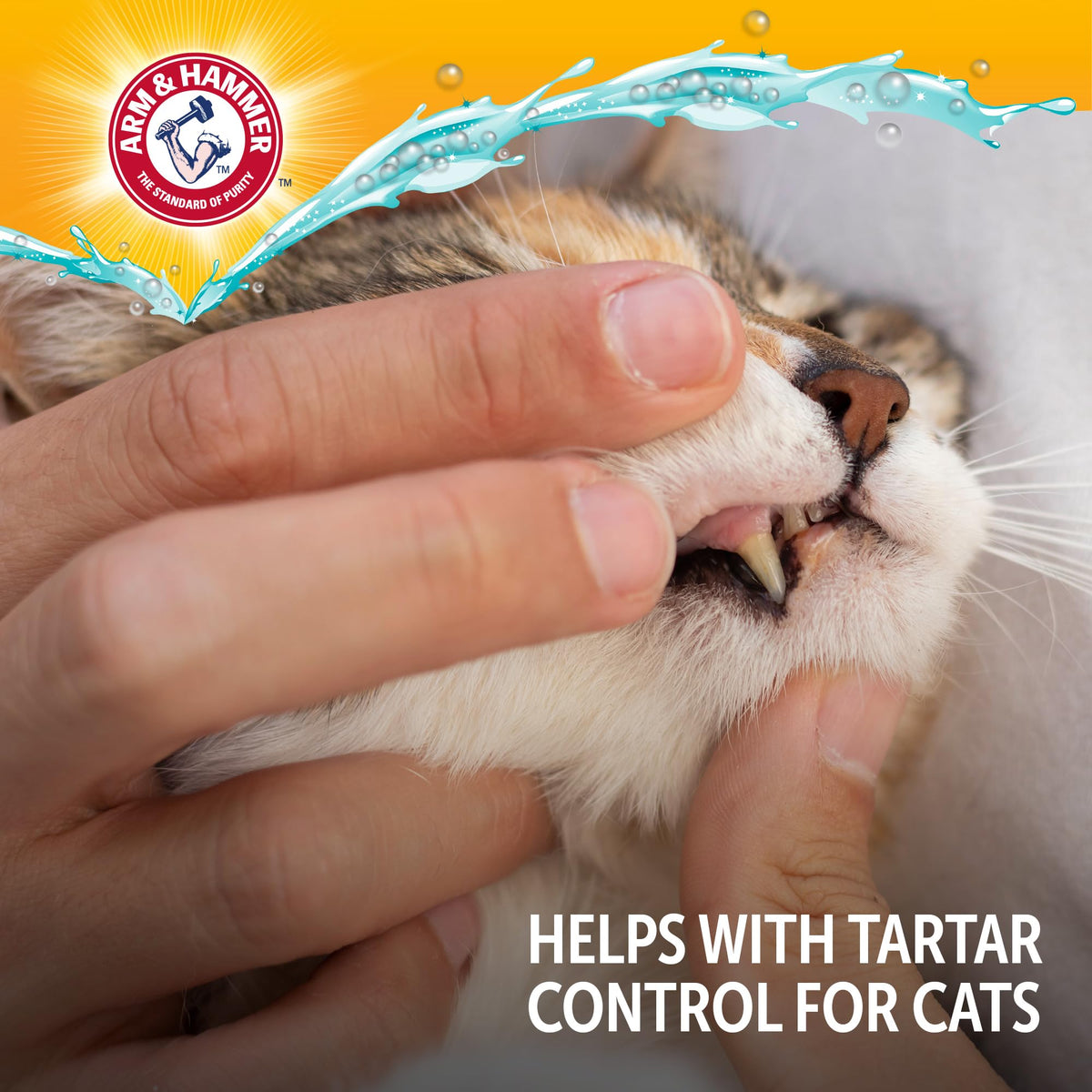 Cat Dental Water Additive 8 Fl Oz 6-Pack Z53966