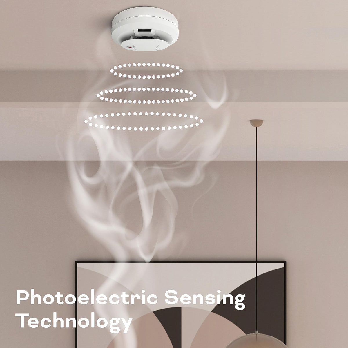 Hardwired Smoke & Carbon Monoxide Detector D618