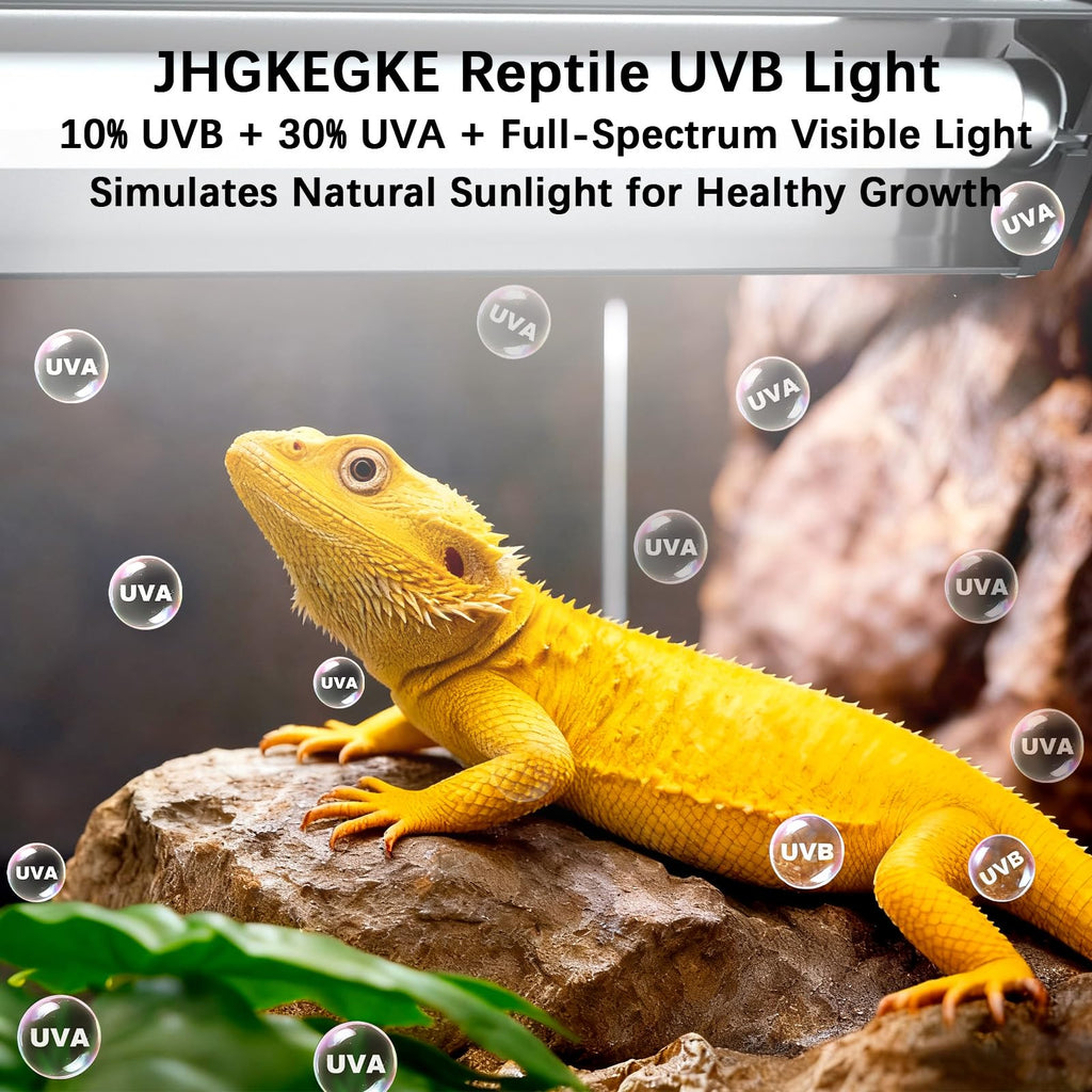 8W UVA UVB Reptile Light Fixture Combo Kit M4389