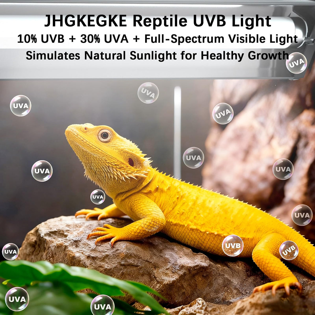 8W UVA UVB Reptile Light Fixture Combo Kit M4389