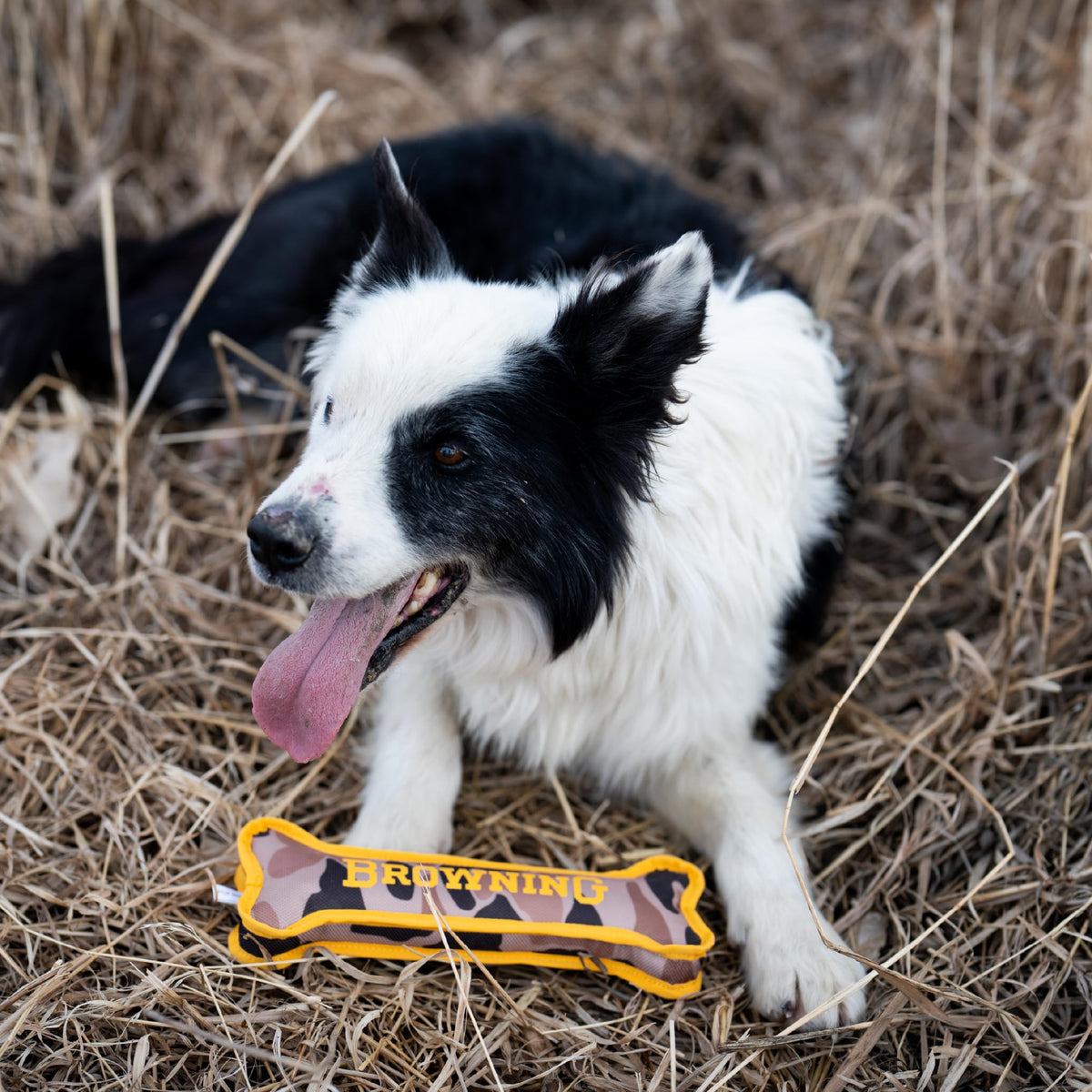 Canvas Bone Toy A155487